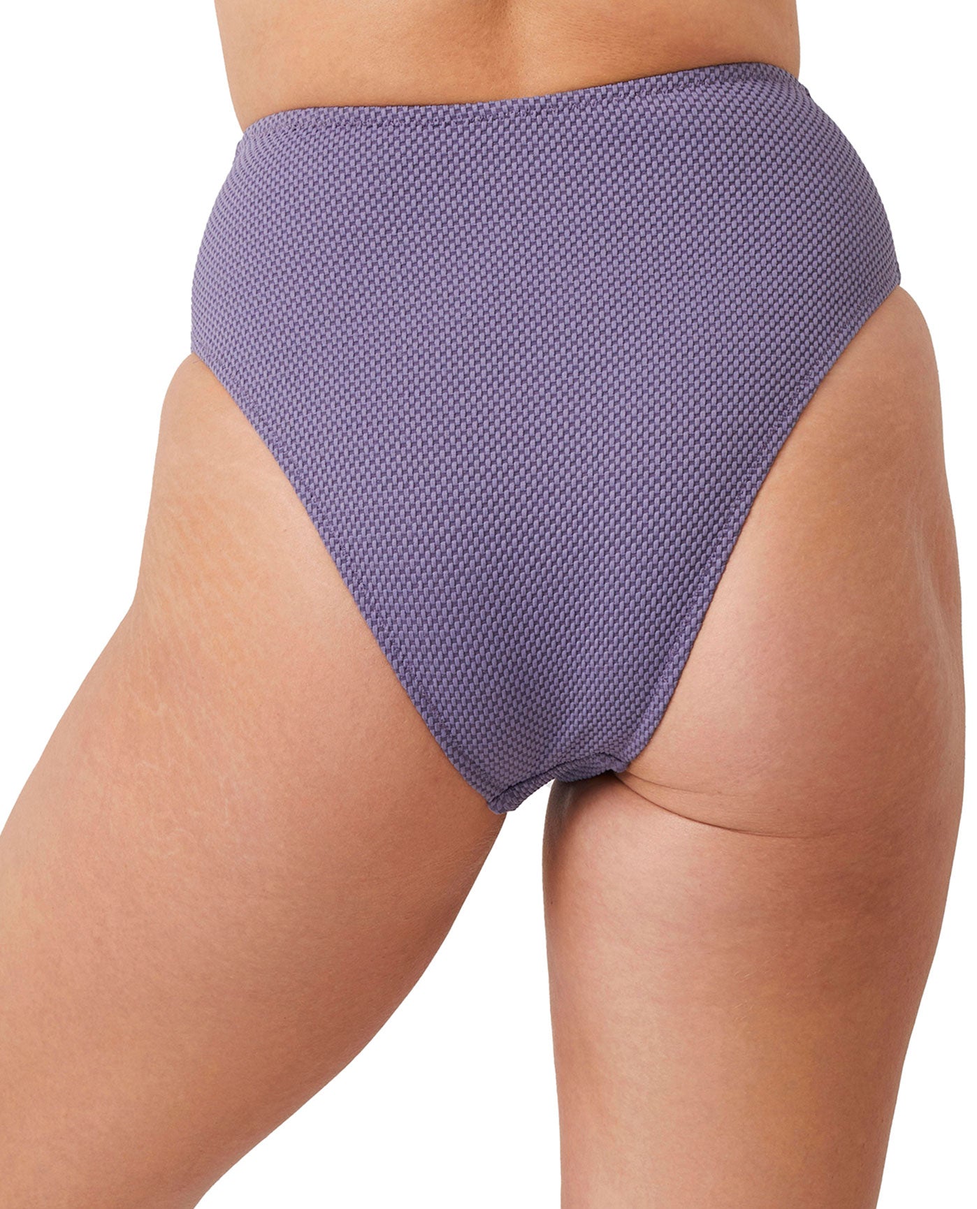 Back View Of Luma Sensual Simplicity High Leg High Waist Bikini Bottom | LUMA SENSUAL SIMPLICITY DUSK PURPLE