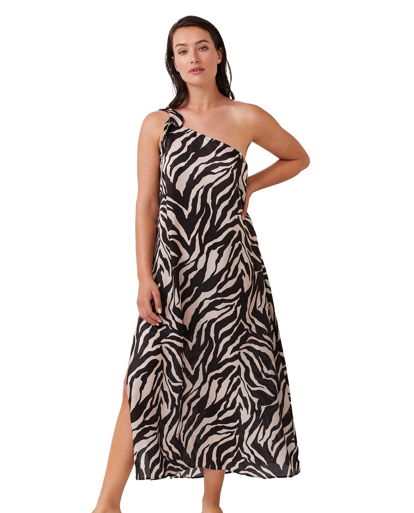 Brown Wild Zebra Print maxi modest dress